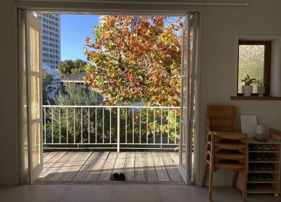 現在の庭の状態