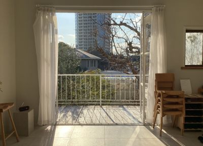 現在の庭の状態