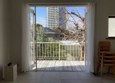 現在の庭の状態