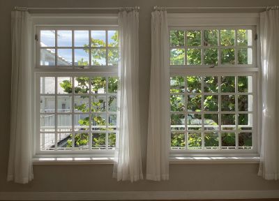 現在の庭の状態