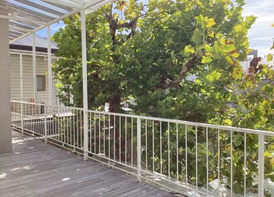 現在の庭の状態