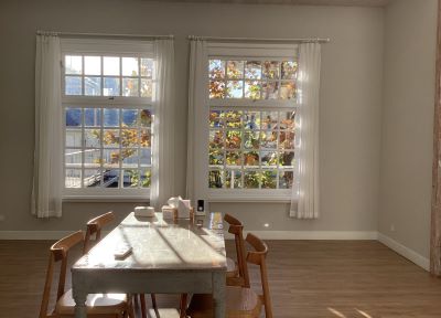 現在の庭の状態