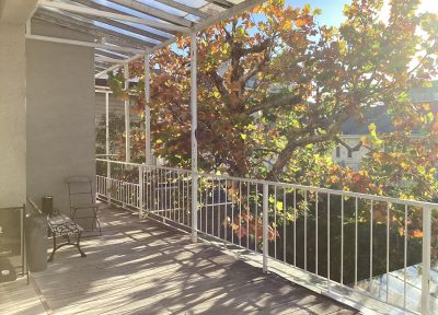 現在の庭の状態