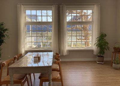 現在の庭の状態