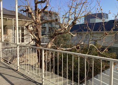 現在の庭の状態