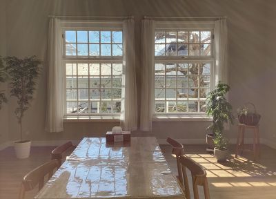 現在の庭の状態