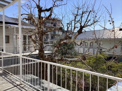 現在の庭の状態