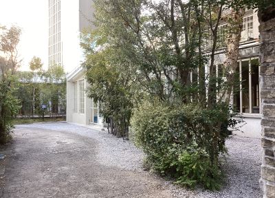 現在の庭の状態