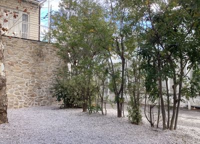 現在の庭の状態