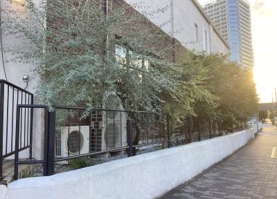 現在の庭の状態