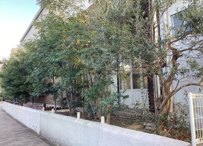 現在の庭の状態