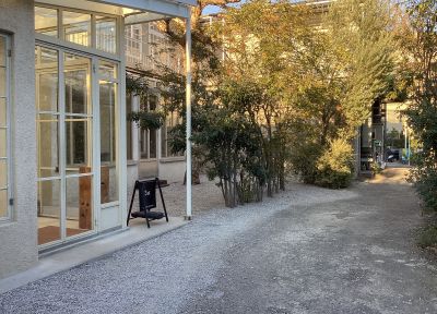 現在の庭の状態