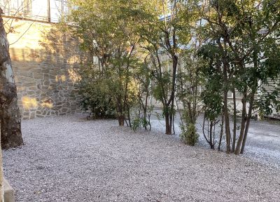 現在の庭の状態