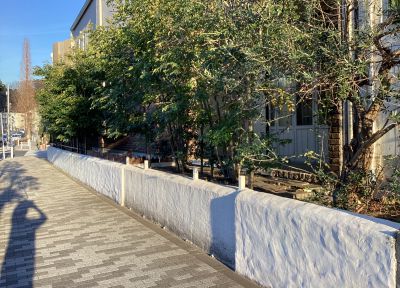 現在の庭の状態