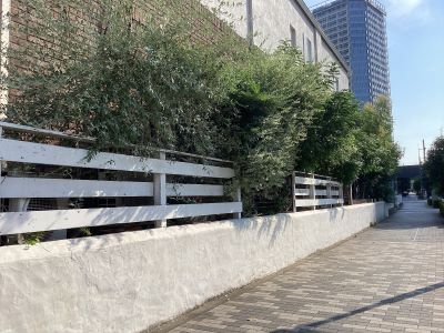 現在の庭の状態