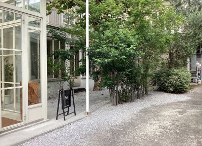 現在の庭の状態