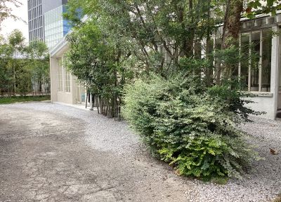 現在の庭の状態