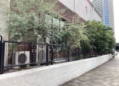 現在の庭の状態