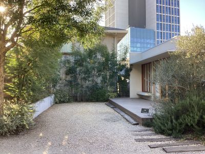 現在の庭の状態