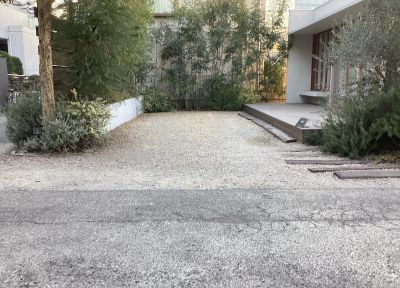 現在の庭の状態