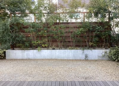 現在の庭の状態