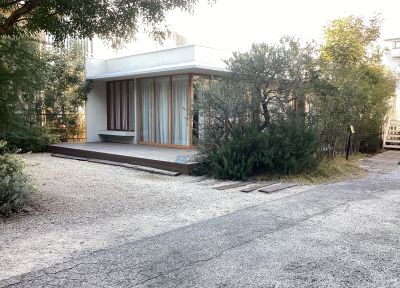 現在の庭の状態