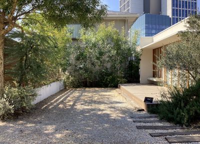 現在の庭の状態