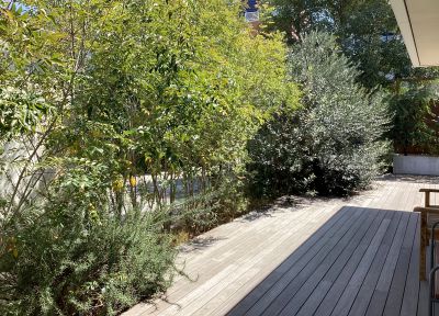 現在の庭の状態