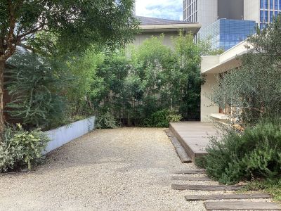 現在の庭の状態