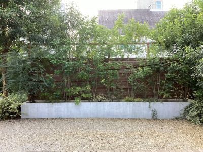 現在の庭の状態