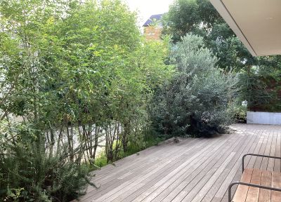 現在の庭の状態