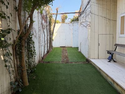 現在の庭の状態