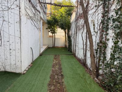 現在の庭の状態