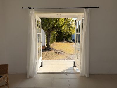 現在の庭の状態