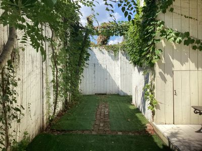 現在の庭の状態