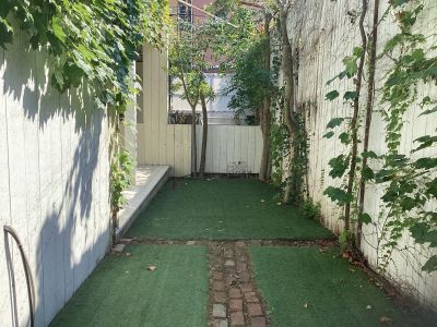 現在の庭の状態