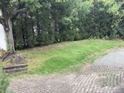 現在の庭の状態