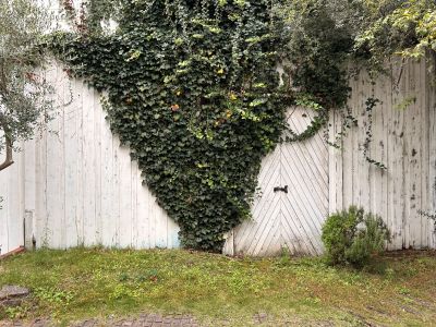 現在の庭の状態