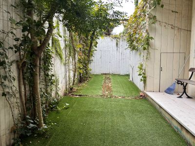 現在の庭の状態