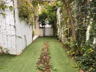 現在の庭の状態