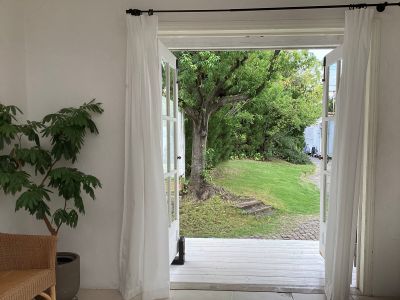 現在の庭の状態