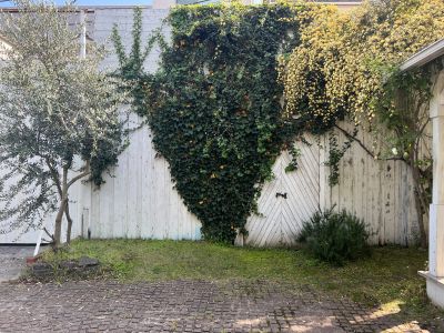 現在の庭の状態