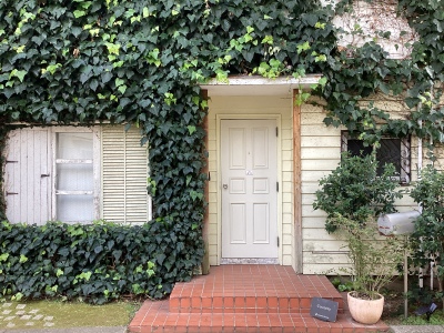 現在の庭の状態