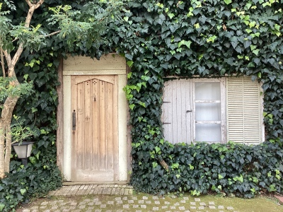 現在の庭の状態