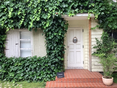 現在の庭の状態