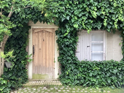 現在の庭の状態