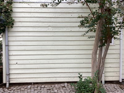 現在の庭の状態