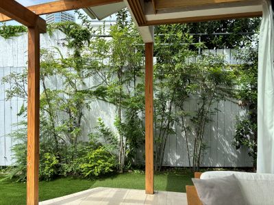 現在の庭の状態