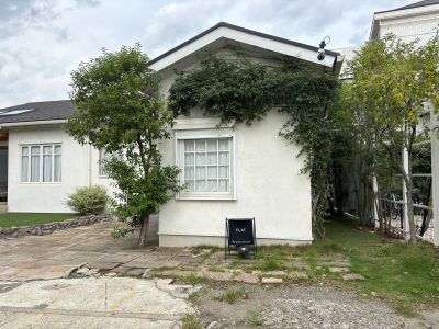 現在の庭の状態