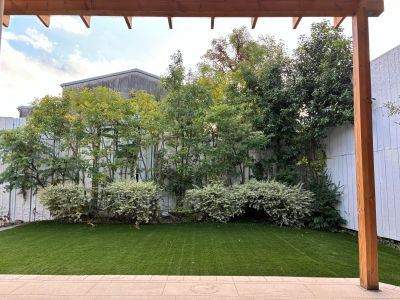 現在の庭の状態